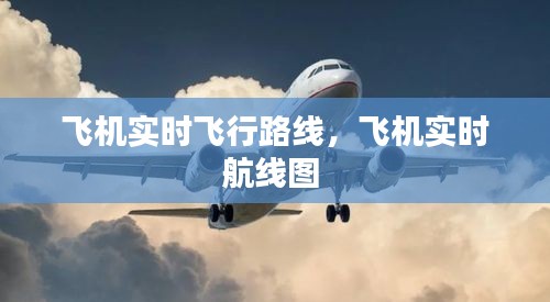 飛機(jī)實(shí)時(shí)飛行路線，飛機(jī)實(shí)時(shí)航線圖 
