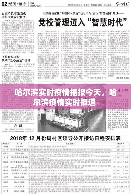 哈爾濱實(shí)時(shí)疫情播報(bào)今天，哈爾濱疫情實(shí)時(shí)報(bào)道 