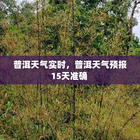 普洱天氣實時，普洱天氣預報15天準確 