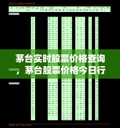 公司簡介 第293頁