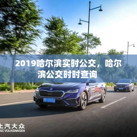 2019哈爾濱實(shí)時(shí)公交，哈爾濱公交時(shí)時(shí)查詢 