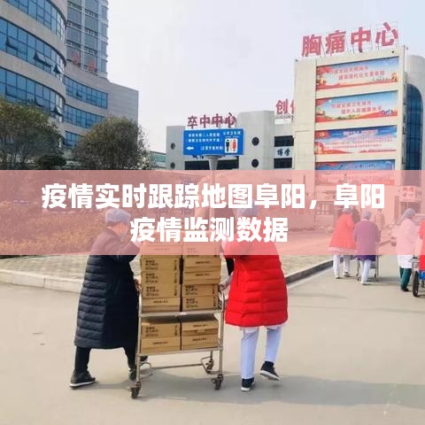 疫情實時跟蹤地圖阜陽，阜陽疫情監(jiān)測數(shù)據(jù) 