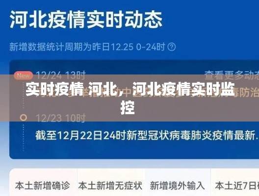 實(shí)時(shí)疫情 河北，河北疫情實(shí)時(shí)監(jiān)控 