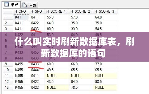 什么叫實時刷新數(shù)據(jù)庫表，刷新數(shù)據(jù)庫的語句 