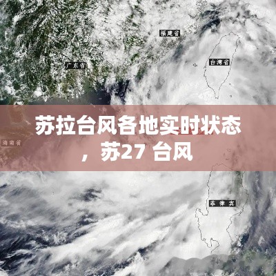 客戶案例 第295頁