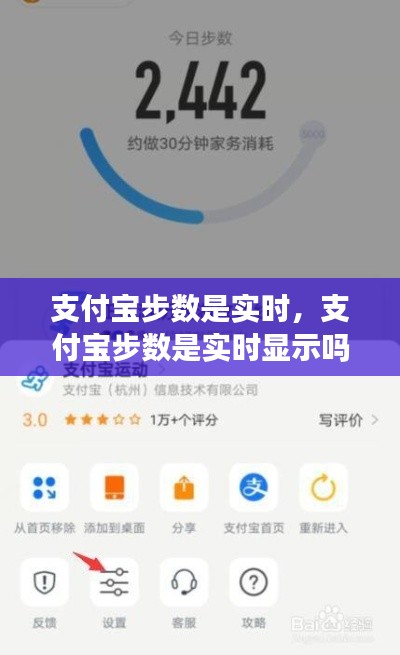 支付寶步數(shù)是實(shí)時，支付寶步數(shù)是實(shí)時顯示嗎 