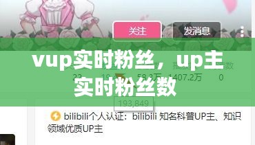 vup實(shí)時(shí)粉絲，up主實(shí)時(shí)粉絲數(shù) 