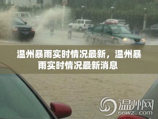 溫州暴雨實(shí)時(shí)情況最新，溫州暴雨實(shí)時(shí)情況最新消息 