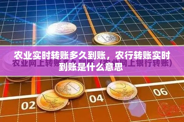 農(nóng)業(yè)實時轉賬多久到賬，農(nóng)行轉賬實時到賬是什么意思 
