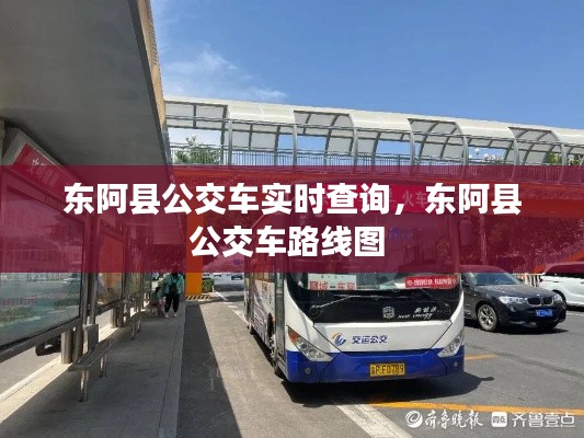 東阿縣公交車實時查詢，東阿縣公交車路線圖 
