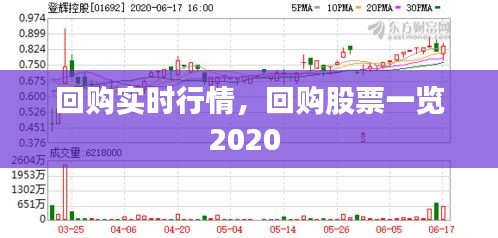 回購實(shí)時(shí)行情，回購股票一覽2020 