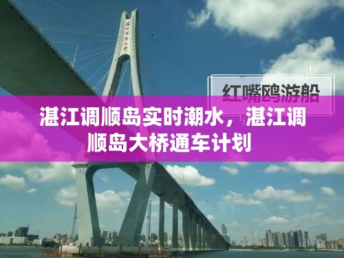 湛江調(diào)順島實時潮水，湛江調(diào)順島大橋通車計劃 