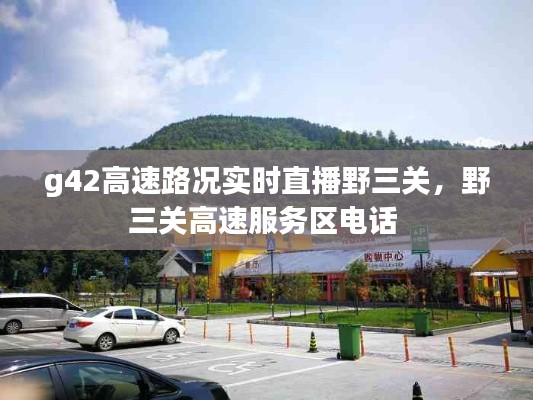 g42高速路況實時直播野三關，野三關高速服務區(qū)電話 
