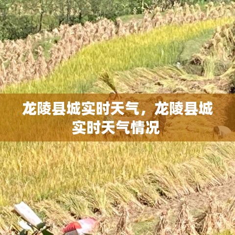 朝乾夕惕 第4頁(yè)