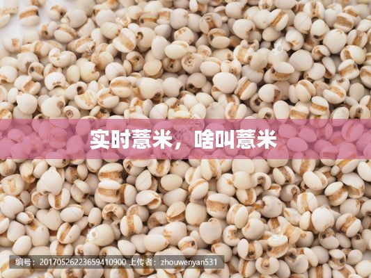 實(shí)時(shí)薏米，啥叫薏米 