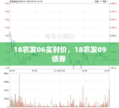 18農(nóng)發(fā)06實(shí)時價，18農(nóng)發(fā)09債券 