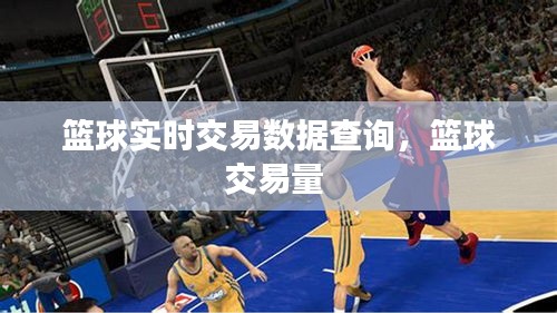 籃球?qū)崟r(shí)交易數(shù)據(jù)查詢，籃球交易量 