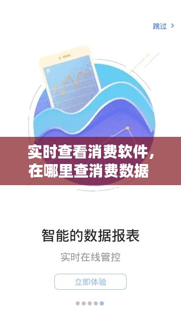 實時查看消費軟件，在哪里查消費數(shù)據(jù) 