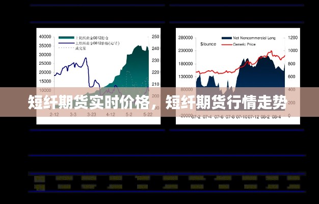 短纖期貨實時價格，短纖期貨行情走勢 