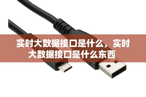 實(shí)時(shí)大數(shù)據(jù)接口是什么，實(shí)時(shí)大數(shù)據(jù)接口是什么東西 