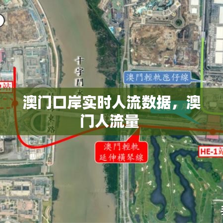 澳門口岸實時人流數(shù)據(jù)，澳門人流量 