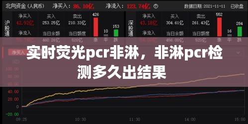 實(shí)時(shí)熒光pcr非淋，非淋pcr檢測(cè)多久出結(jié)果 