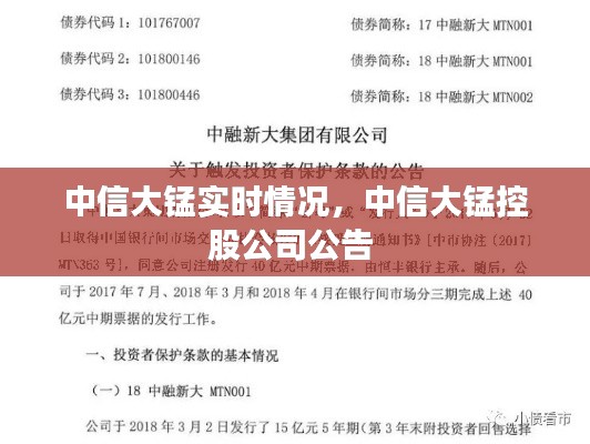 中信大錳實(shí)時(shí)情況，中信大錳控股公司公告 
