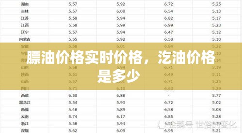 膘油價格實時價格，汔油價格是多少 