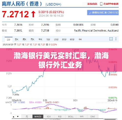 渤海銀行美元實(shí)時(shí)匯率，渤海銀行外匯業(yè)務(wù) 