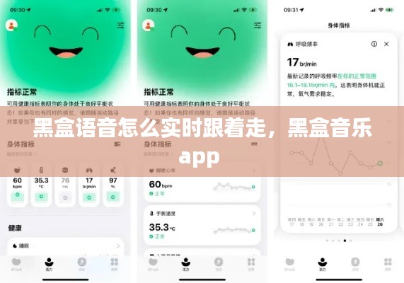黑盒語音怎么實時跟著走，黑盒音樂app 
