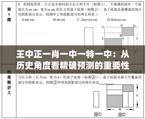 王中正一肖一中一特一中：從歷史角度看精確預測的重要性與應用