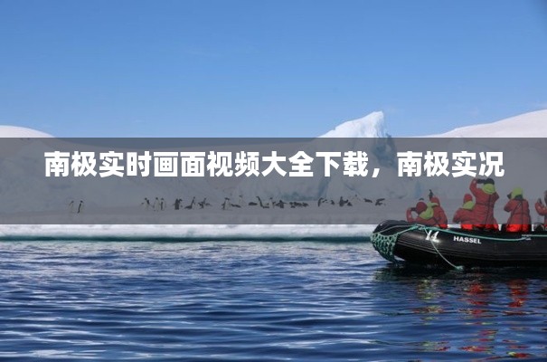 南極實時畫面視頻大全下載，南極實況 