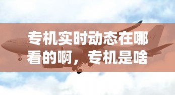 專機(jī)實時動態(tài)在哪看的啊，專機(jī)是啥 