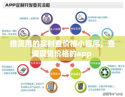 擼貨用的實時查價格小程序，查詢現(xiàn)貨價格的app 
