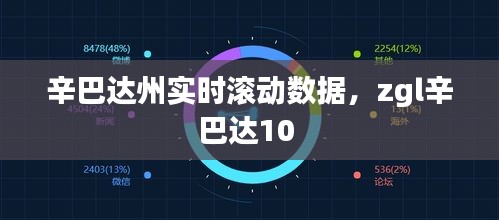 辛巴達(dá)州實(shí)時(shí)滾動(dòng)數(shù)據(jù)，zgl辛巴達(dá)10 