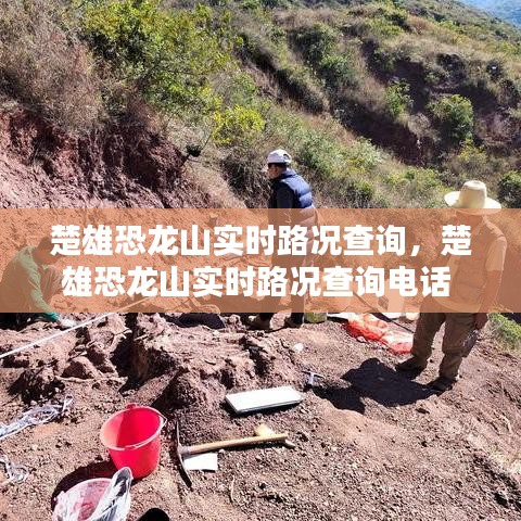 楚雄恐龍山實時路況查詢，楚雄恐龍山實時路況查詢電話 