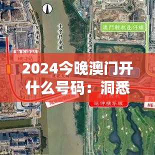 2024今晚澳門開什么號(hào)碼：洞悉今晚數(shù)字的秘密