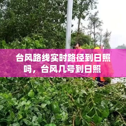 臺風路線實時路徑到日照嗎，臺風幾號到日照 