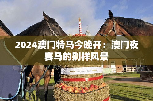 2024澳門特馬今晚開(kāi)：澳門夜賽馬的別樣風(fēng)景