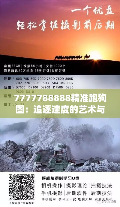 7777788888精準(zhǔn)跑狗圖：追逐速度的藝術(shù)與哲學(xué)