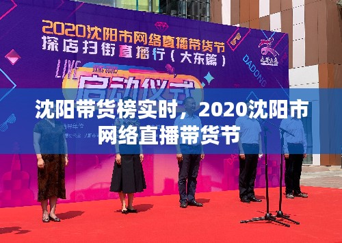 沈陽帶貨榜實時，2020沈陽市網(wǎng)絡(luò)直播帶貨節(jié) 