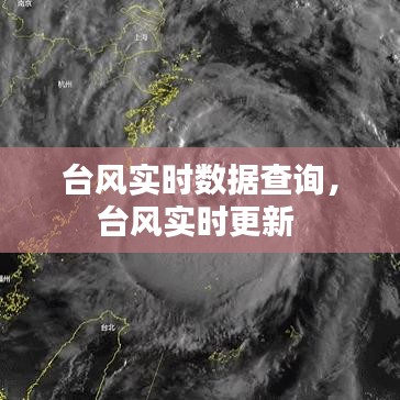 臺風(fēng)實(shí)時(shí)數(shù)據(jù)查詢，臺風(fēng)實(shí)時(shí)更新 