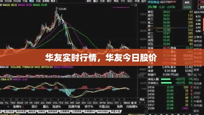 華友實時行情，華友今日股價 