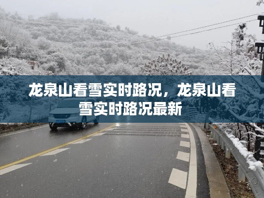 龍泉山看雪實(shí)時路況，龍泉山看雪實(shí)時路況最新 