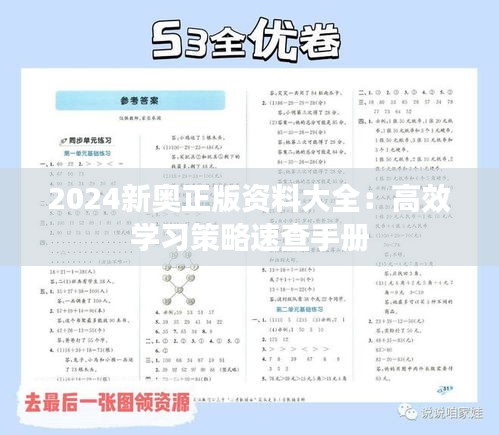2024新奧正版資料大全：高效學(xué)習(xí)策略速查手冊