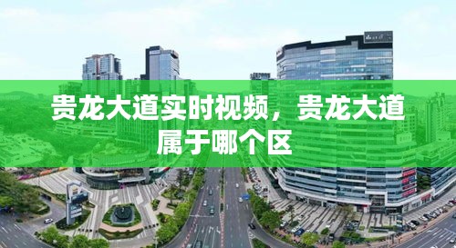貴龍大道實時視頻，貴龍大道屬于哪個區(qū) 