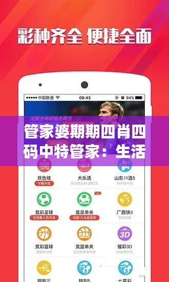 管家婆期期四肖四碼中特管家：生活規(guī)劃的藝術與技巧