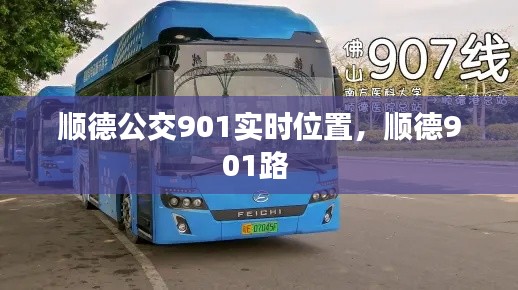 順德公交901實時位置，順德901路 