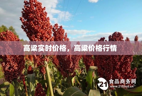 高粱實(shí)時(shí)價(jià)格，高粱價(jià)格行情 