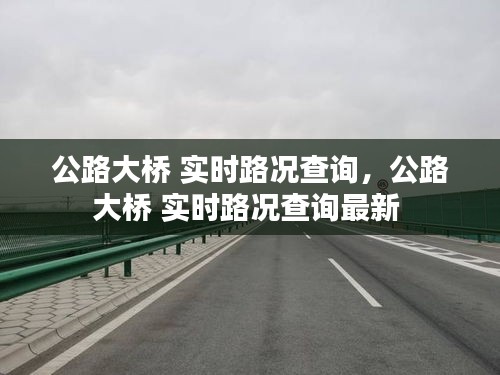 公路大橋 實(shí)時(shí)路況查詢，公路大橋 實(shí)時(shí)路況查詢最新 